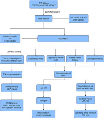 Identification and validation of key biomarkers based on RNA methylation genes in sepsis